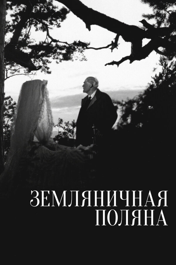 Земляничная поляна (1957) - смотреть онлайн